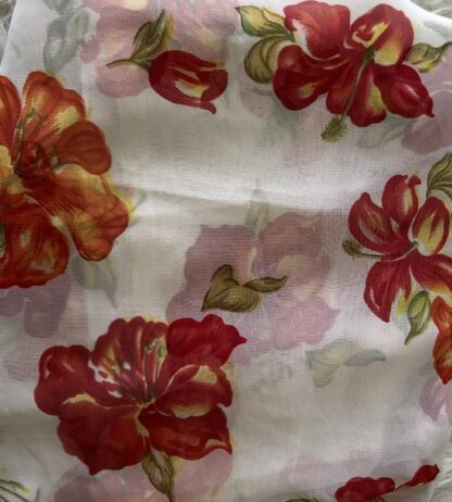 Traditional attires- Saree - Image 4