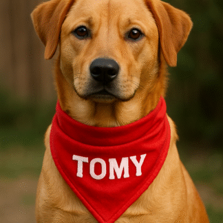 Dog bandanas